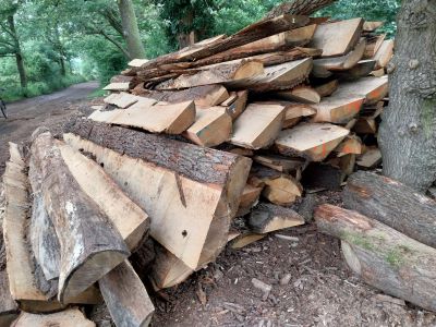 Schwartenholz Schwartenholz