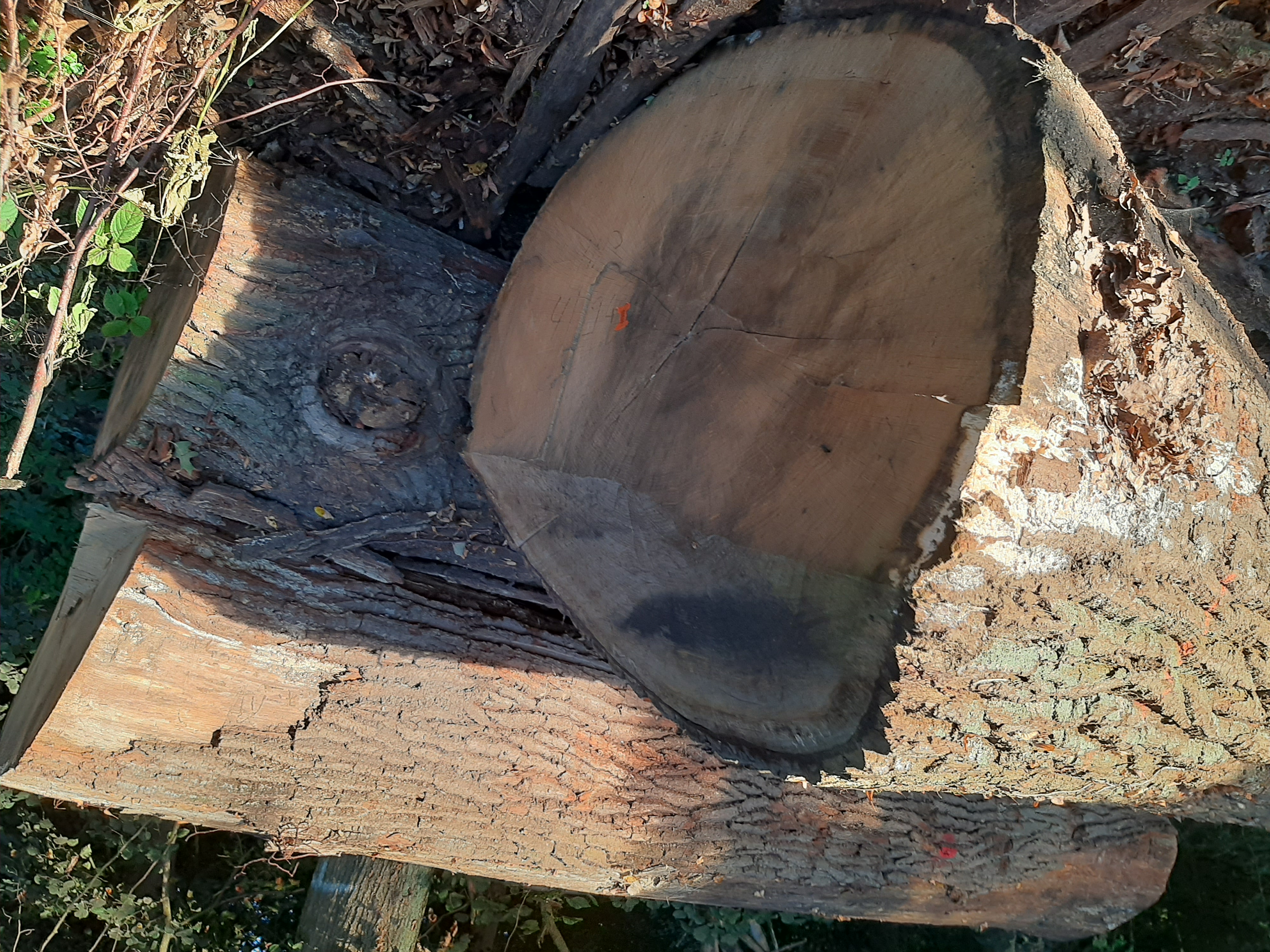 Tischplatten 1 Tischplatten 1